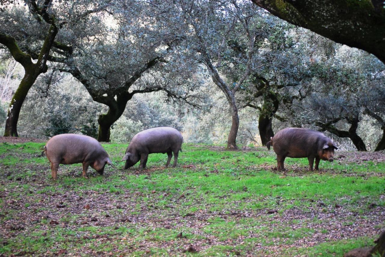 El Alojamiento Rural De Peter Αραθένα Εξωτερικό φωτογραφία